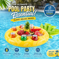 Pineapple Ice Bar